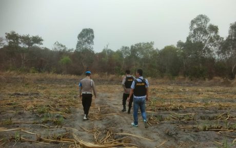 IMG-20261027-WA0279