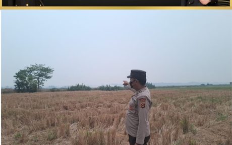 WhatsApp Image 2026-10-03 at 14.44.15 (1)